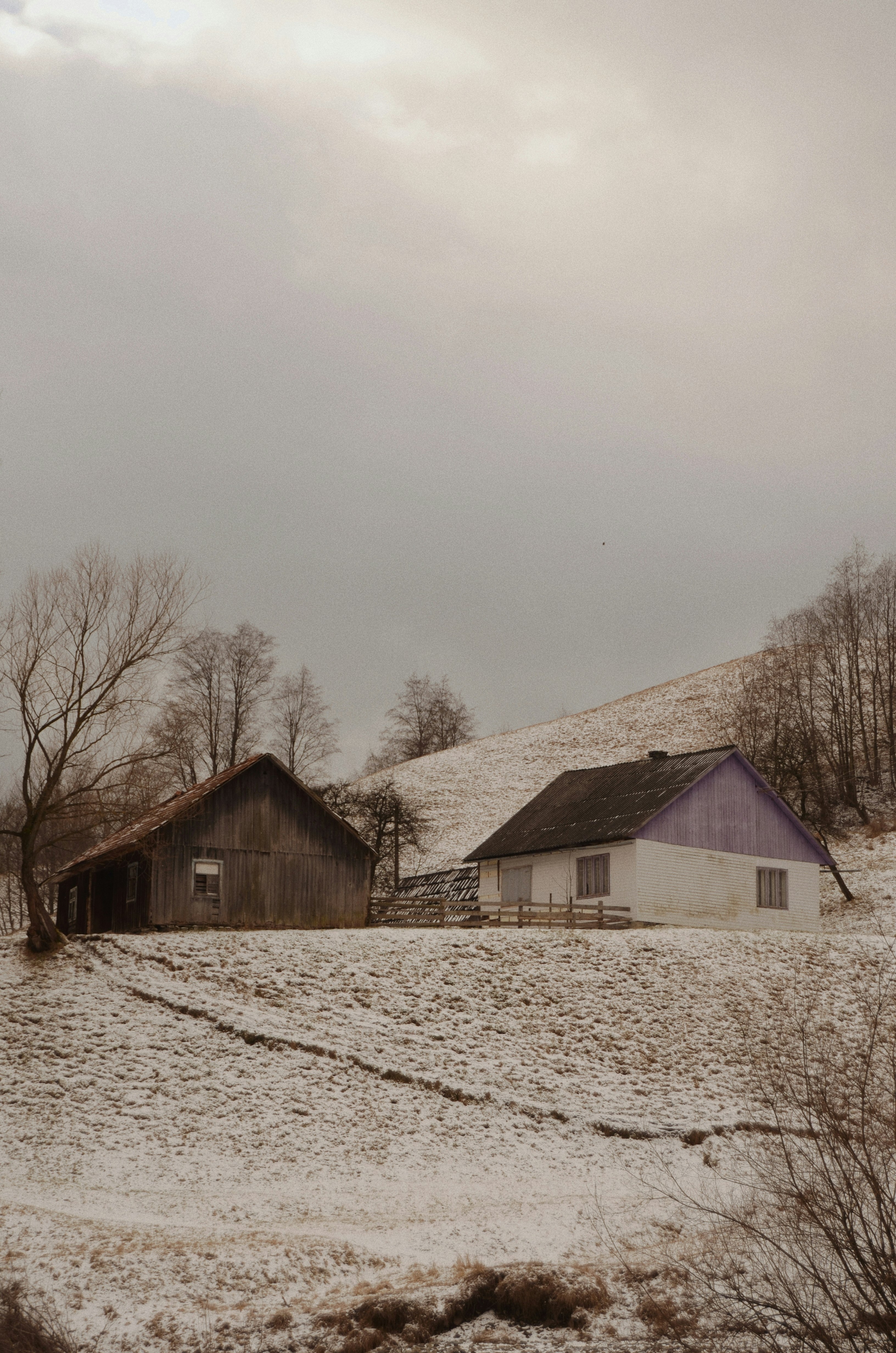 brown wooden house near bare trees under gray sky